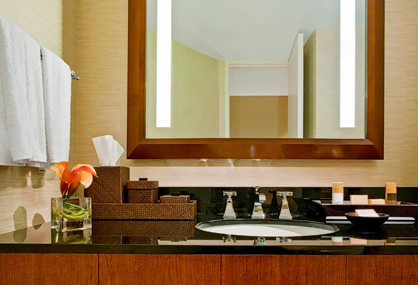 Hyatt Regency Dulles